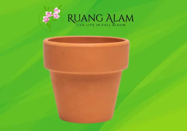 jual media dendrobium